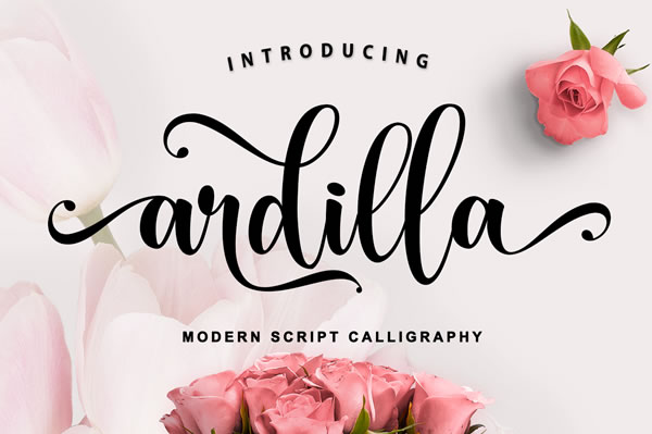 Ardilla Font: A Script Typeface for Digital Design