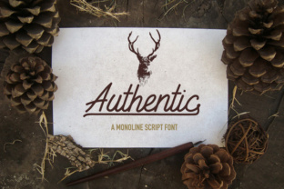 Authentic Font Review: Elevating Small Business Branding