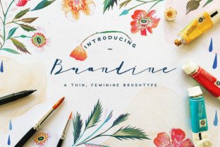 Brandine Font: A Watercolor Script for Editorial Design