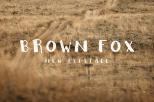 Brown Fox Font: A Web Designer’s Layout Test