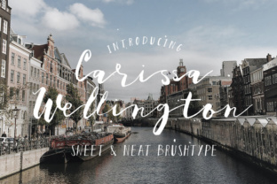 Carissa Wellington Font: Elevating Campaign Visuals