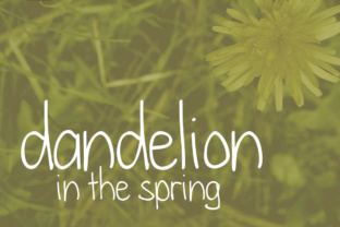 Dandelion in the Spring Font: A Campaign Design Review