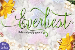 Everbest Font: Modern Script Typography for Web Design