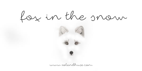 Fox in the Snow: A Designer’s Practical Review