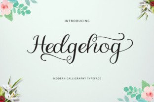 Hedgehog Font: A Designer’s Practical Review
