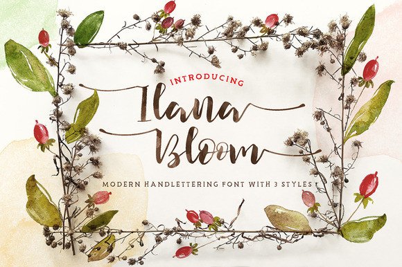 Ilana Bloom Font: Elevating Small Business Branding