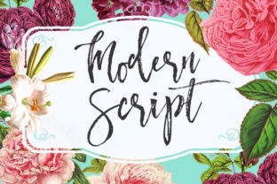 Modern Script Font: Elevating Campaign Visuals