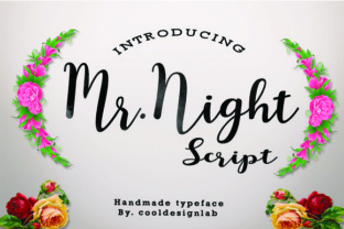 Mr. Night Font Review: A Handmade Script for Branding