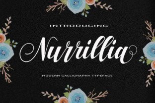 Nurrillia Font: Elevate Digital Campaigns with Dynamic Script