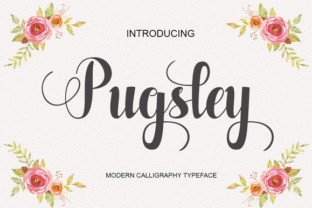 Pugsley Font: A Web Designer’s Layout Review