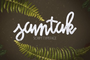 Samtak Script Font: A Designer’s Real Branding Test
