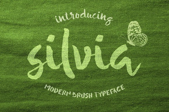 Silvia Font: A Painterly Typeface for Campaign Visuals