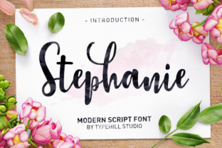 Stephanie Script Font: Elevating Campaign Visuals